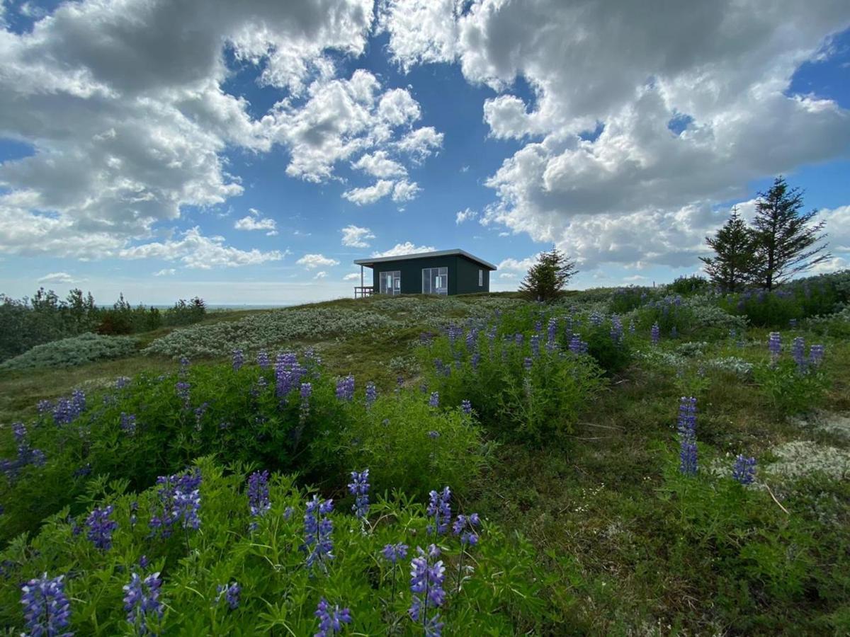 ヘトラ Skeithvellir Panorama Houseヴィラ エクステリア 写真